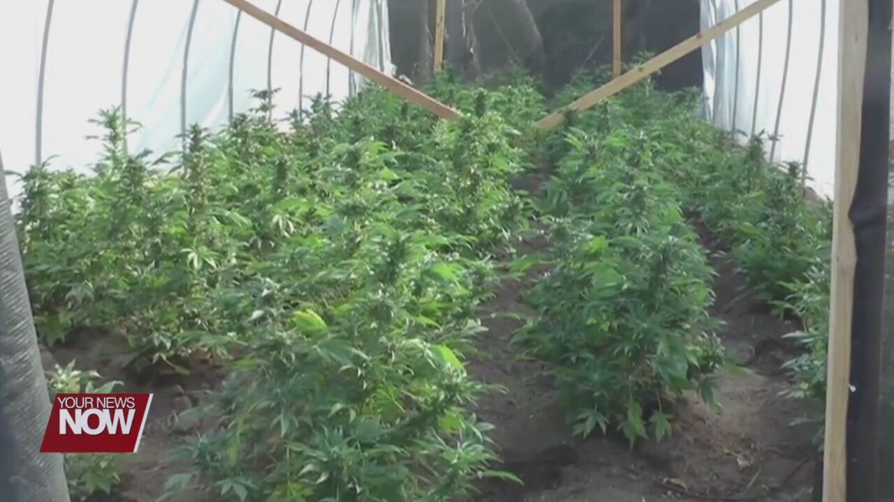 Ohio Speaker of the House doesn't think lawmakers will legalize recreational marijuana